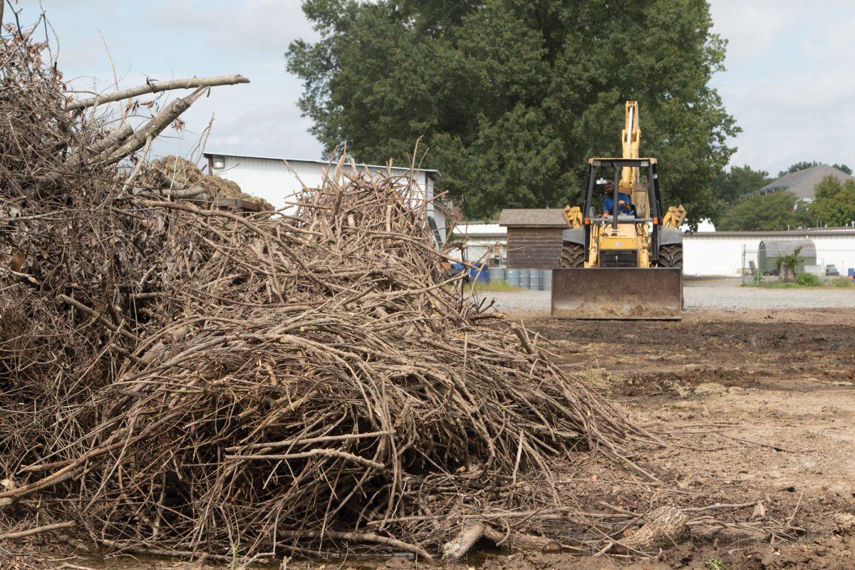 “The Big Naturals” sculpture was removed from its location between McCastlain and McAlister Halls Sept. 24 after storms blew over two of the structures over the weekend. The Physical Plant removed all the structures last week, which fell apart as they were taken out, said director of the Physical Plant Larry Lawrence. The twigs andRead More
