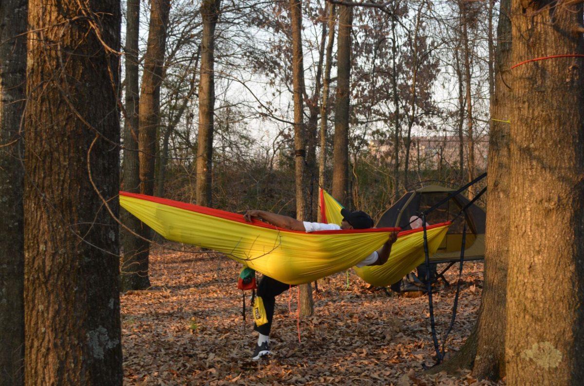 Hammocks set up throughout the Jewel Moore Nature Reserve in preparation for a campout. The event was put together by the Green Bear Coalition, department of biology and other RSO's.
