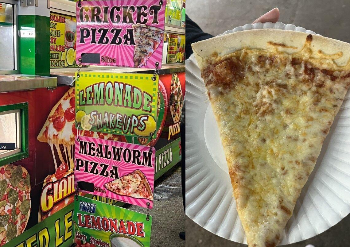 The cricket and mealworm pizza advertisements on the pizza truck immediately grabbed my attention, but I stuck with a classic cheese slice.