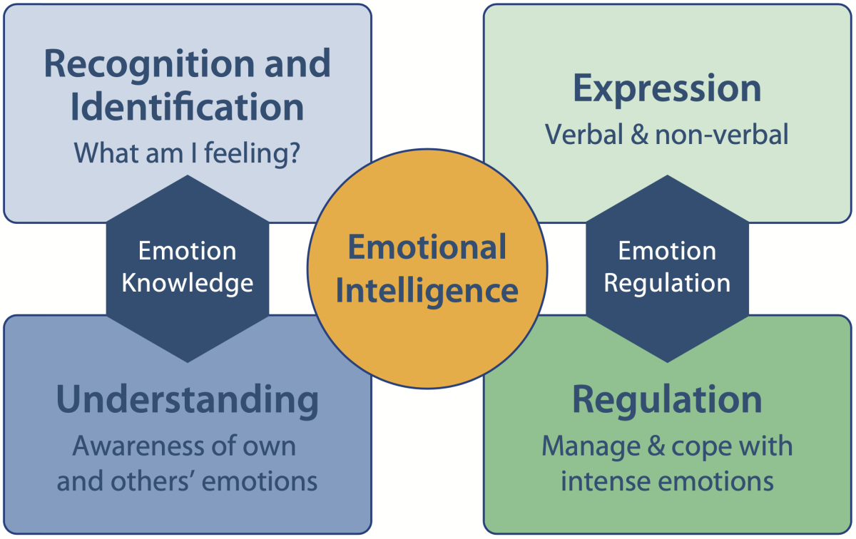 This graphic displays aspects of emotional intelligence, such as emotion knowledge and regulation.