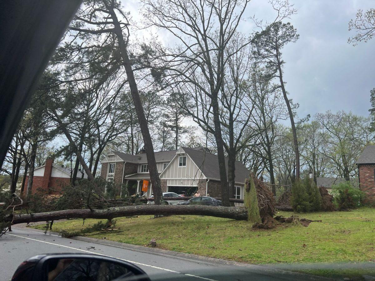 An uprooted tree spans the front yard of a West Little Rock home on Napa Valley Drive.