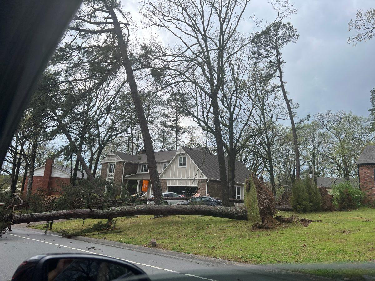 An uprooted tree spans the front yard of a West Little Rock home on Napa Valley Drive.