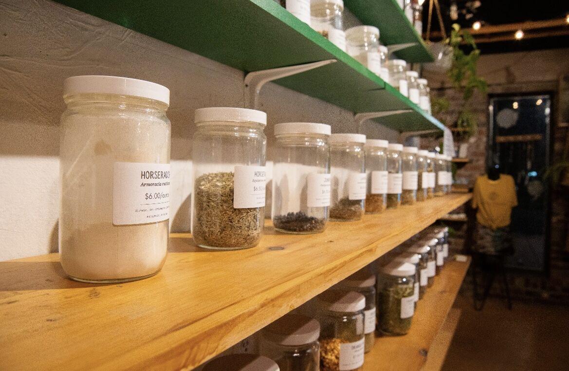 A wall of herbs lines the wall of Righteous Remedies.