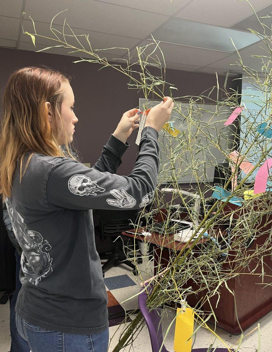 A student hangs a piece of paper on a wish tree. Students participated in activities significant to Japanese culture.