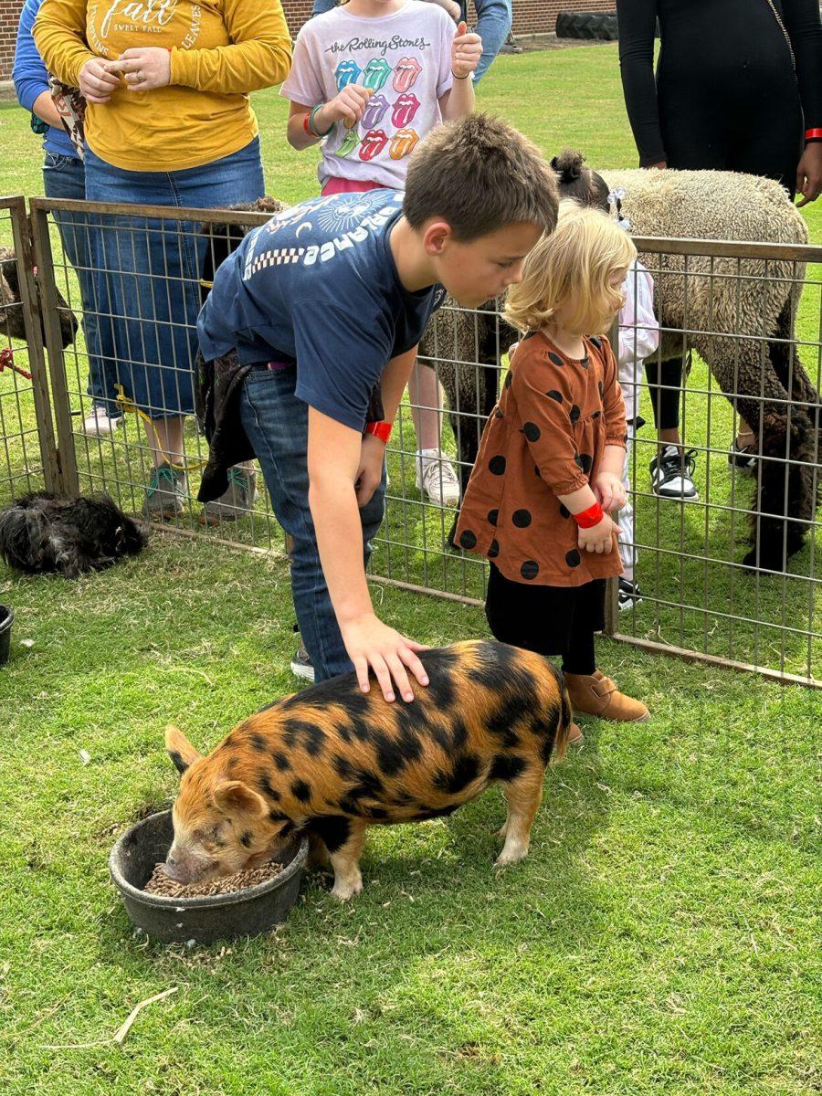 A boy pets a spotted pig at the petting zoo. UCA brought chickens, ducks, llamas, and other animals to the petting zoo. 