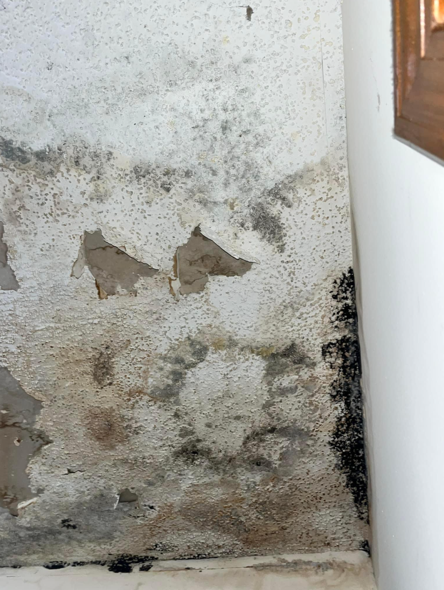 Mold grows in the ceiling of Kimberly Gulutzo's bathroom at The Nest apartments. Gulutzo reported it Sept. 4, 2023.