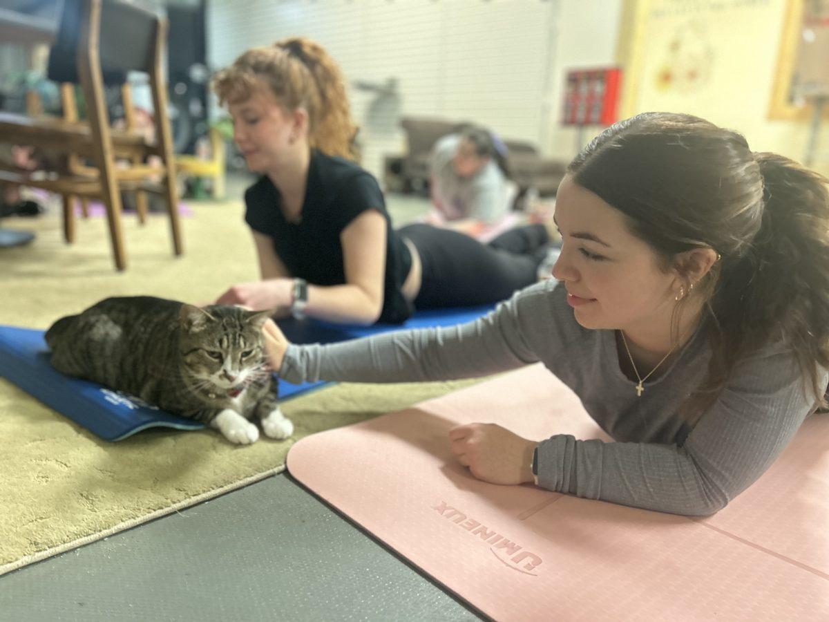 Two yoga participants enjoy a cat's company during their time at the event.