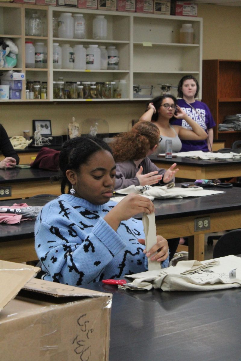 A student makes a kitten toy out of pieces of donated T-shirts at "Kitten Kisses" Feb. 12. The toys the participants made will be donated to local animal shelters.