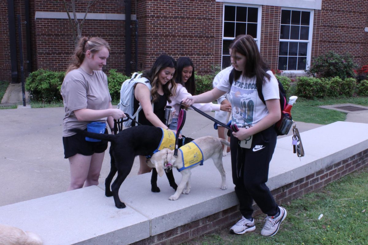 Students pet Living Unleashed puppies at "Pause for Paws" in front of the student center April 14. Living Unleashed offers students the opportunity to raise puppies who train to be service dogs. 